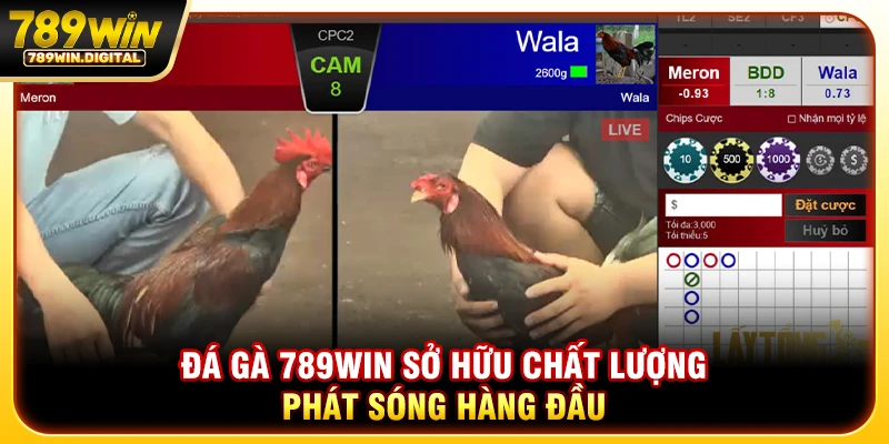 Đá gà 789WIN sở hữu chất lượng phát sóng hàng đầu