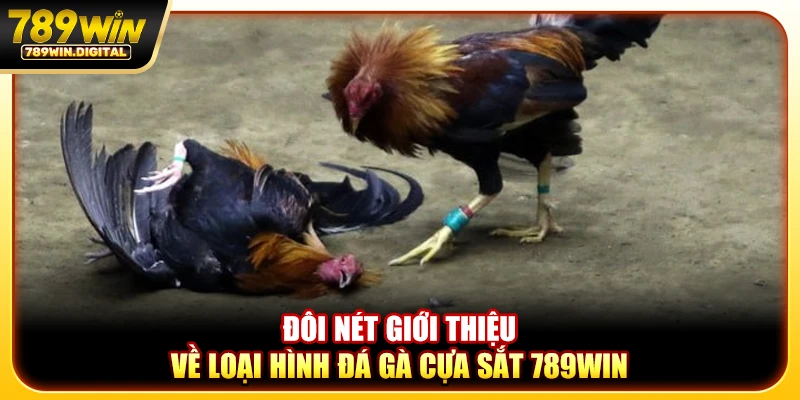 Đôi nét giới thiệu về loại hình đá gà cựa sắt 789WIN