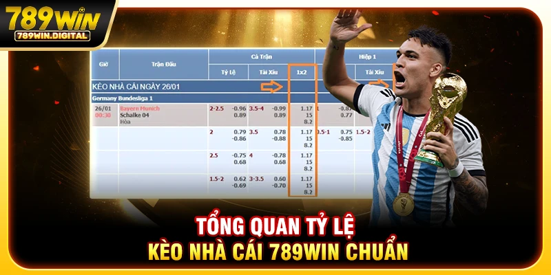 Tổng quan tỷ lệ kèo nhà cái 789WIN chuẩn